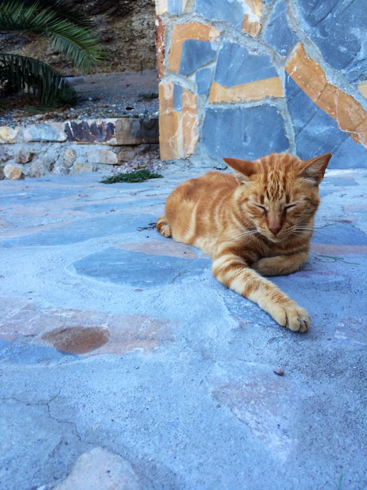 The "Just Friends" Years - Photo 1